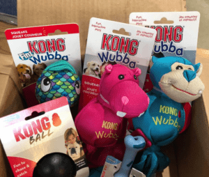 A box full of Dog Kong Toys