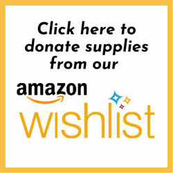 click here to donate supplies from our Amazon wishlist
