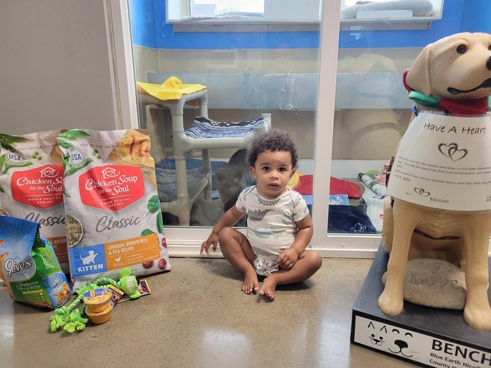 Baby sitting by cat and dog donations