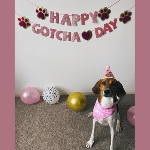 Happy Gotcha Day banner with dog wearing party hat