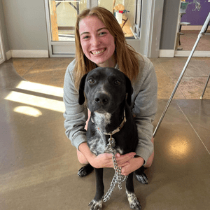 Black and white dog with black spots in arms of young woman