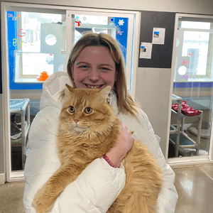 Fluffy orange cat in woman's arms