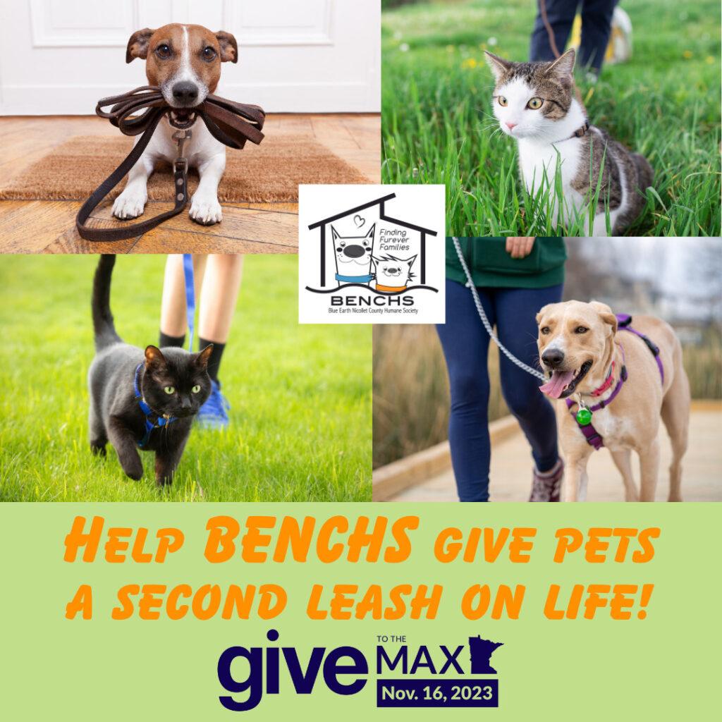 Help BENCHS give pets a second leash on life..... and Give to the Max!
